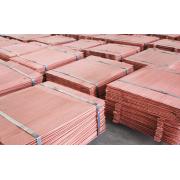 Looking To Buy Copper Cathodes (China)