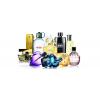 Looking For Branded Perfumes