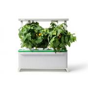 Looking For Indoor Growing Equipment (Ireland)
