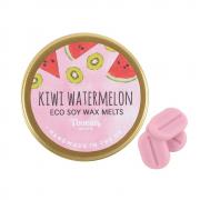 Wholesale Kiwi Watermelon Eco Soy Wax Melts