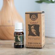 Wholesale Goloka 10ml Eucalyptus Essential Oil