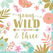 Wholesale Wholesale Joblot Of 50 Amscan Birthday Girl Young Wild & Three Napkins (16 Pack)