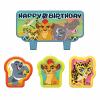 Wholesale Joblot Of 20 Amscan Disney The Lion Guard Birthday Candle Set (4 Pack)