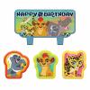Wholesale Joblot Of 20 Amscan Disney The Lion Guard Birthday Candle Set (4 Pack) wholesale