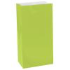 One Off Joblot Of 48 Packs Of 12 Amscan Kiwi Green Paper Treat Bags leisure wholesale
