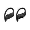 Apple PowerBeats Pro True Wireless Earhook Earbuds - Black