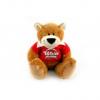 Wales T-Shirt Soft Toy Bear