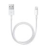 Apple Lightning To USB-A Cable White 0.5m