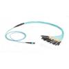 Black Box MTP OM3 Harness Cable 12 Strand. PLENUM wholesale