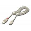 Lindy 31925 USB Cable 2 M USB A Mini-USB B Transparent wholesale