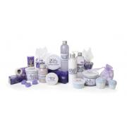 Wholesale Caladore 