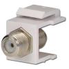 Lindy 60559 Keystone Module wholesale