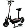 Zipper 800W Electric Foldable Micro Scooter With Suspension