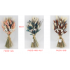 Dry Flowers wholesale