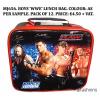 Boys WWE Lunch Bags picnic supplies wholesale