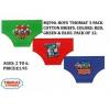 Boys Thomas 3 Pack Briefs