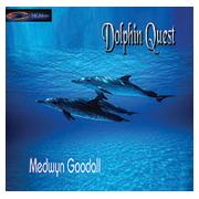 Wholesale Dolphin Quest - Medwyn Goodall
