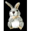 Dropship Grey Rabbit Finger Puppet Toys wholesale