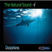 Wholesale Dolphins - A Natural Sounds CD