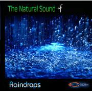 Wholesale Raindrops - A Natural Sounds CD