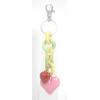 Plastic Heart Ag Charm Key Chains