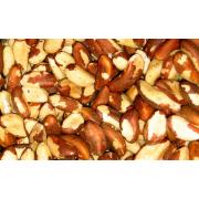 Wholesale Shelled Nuts