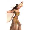 Sequined Belly Dance Costumes