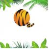 Tiger Basic wholesale web design