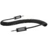 Coiled Auxiliary Audio Cables