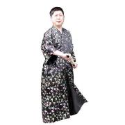 Wholesale Dressing Gown In Butterfly Silky Brocade