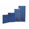 Solar Panels wholesale