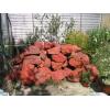 Red Jasper Water Fountains And Garden Features wholesale