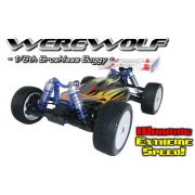 Wholesale Werewolf Brushless Radio Control Buggies