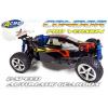 Condor Pro Nitro Radio Controlled Buggies