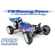 Wholesale FS Racing Electric PRO Radio Control Buggies