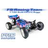 FS Racing Electric PRO Radio Control Buggies