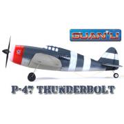 Wholesale Dropship Thunderbolt Radio Control Scale Brushed Fighters