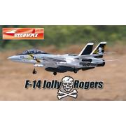 Wholesale Dropship Tomcat Jolly Rogers Radio Controlled Twin Jet Planes