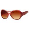 Ladies Coloured Fashion Sunglasses