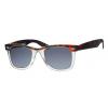 Wayfarer Sunglasses