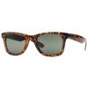 Wayfarer Sunglasses