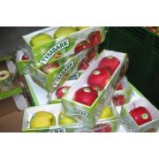 Wholesale Fresh Apples Tymbark Brand From Poland