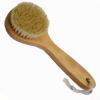 Exfoliating Body Brushes wholesale