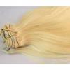 Clip In Human Hair Extensions 1 wholesale