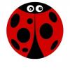 Cute Cartoon Ladybird Magnetic Tax Disc Holders wholesale