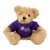 Fudge Bear Plush Toys wholesale soft