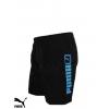 Men's Puma Shorts wholesale trousers