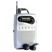 Wholesale Lloytron AM/FM Pocket Radio