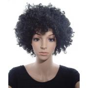 Wholesale Black Afro Wigs
