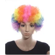 Wholesale Rainbow Clown Afro Wigs